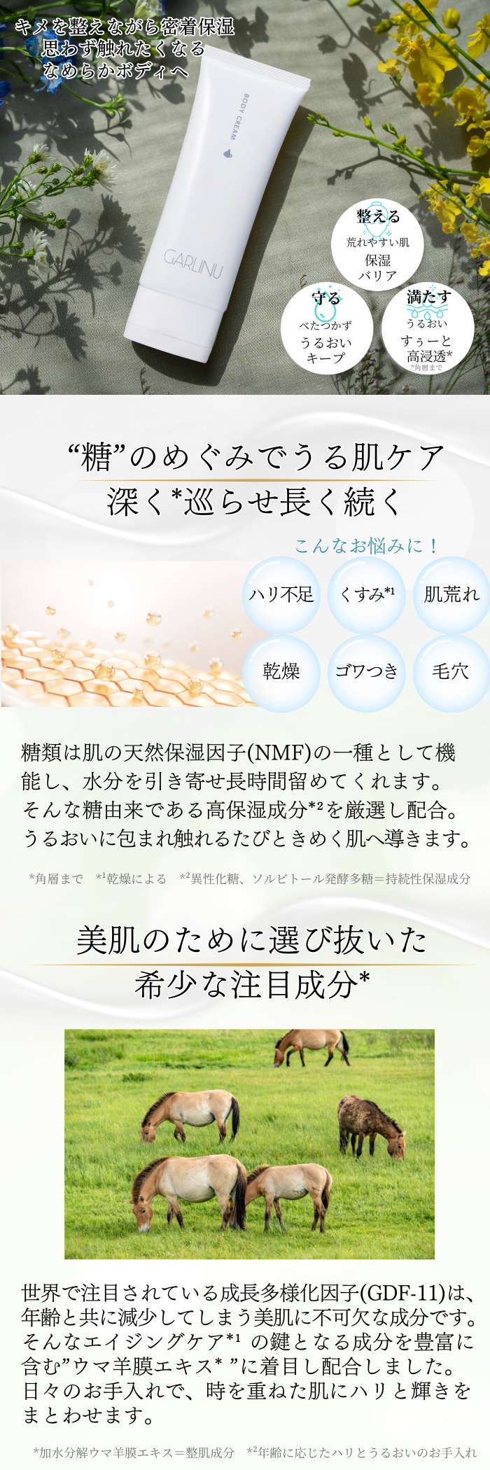 GARLINUモイストボディクリーム – GARLINU（ガリーヌ）公式オンライン
