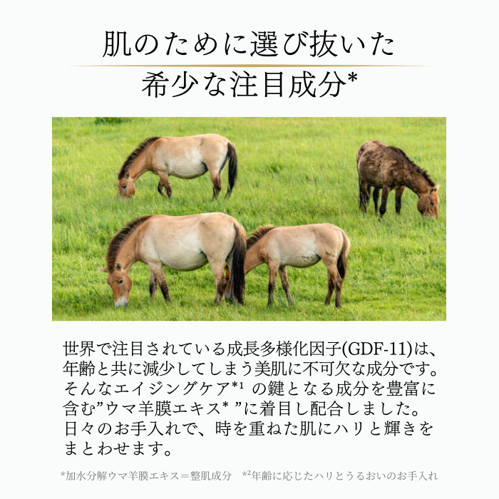 【ムーミンコラボ 】GARLINUモイストボディクリーム