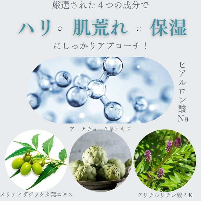 <定期便> GARLINUクレンジングジェル